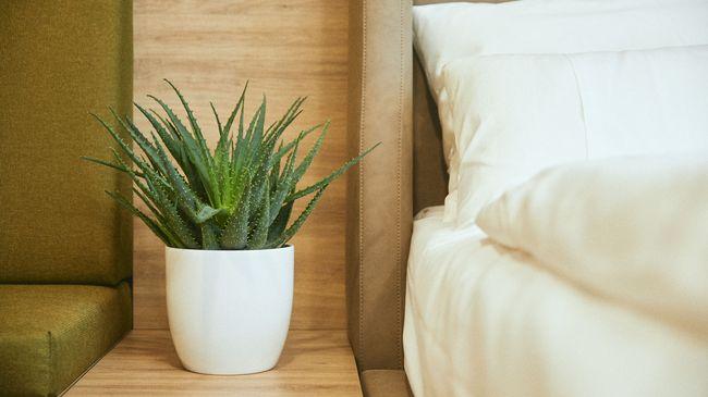 Rioca Vienna Posto 1 Lejlighedshotel Værelse billede